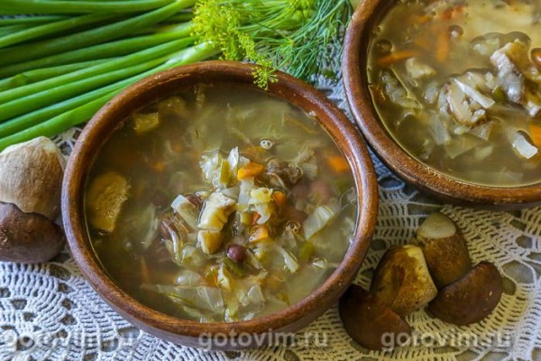 Щи летние с фасолью и белыми грибами